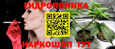 каннабис Будённовск