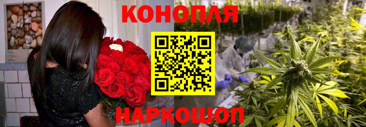 Шишки марихуана ГИДРОПОН Крымск
